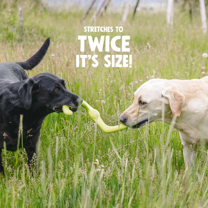 Additional view of the West Paw Bumi dog toy