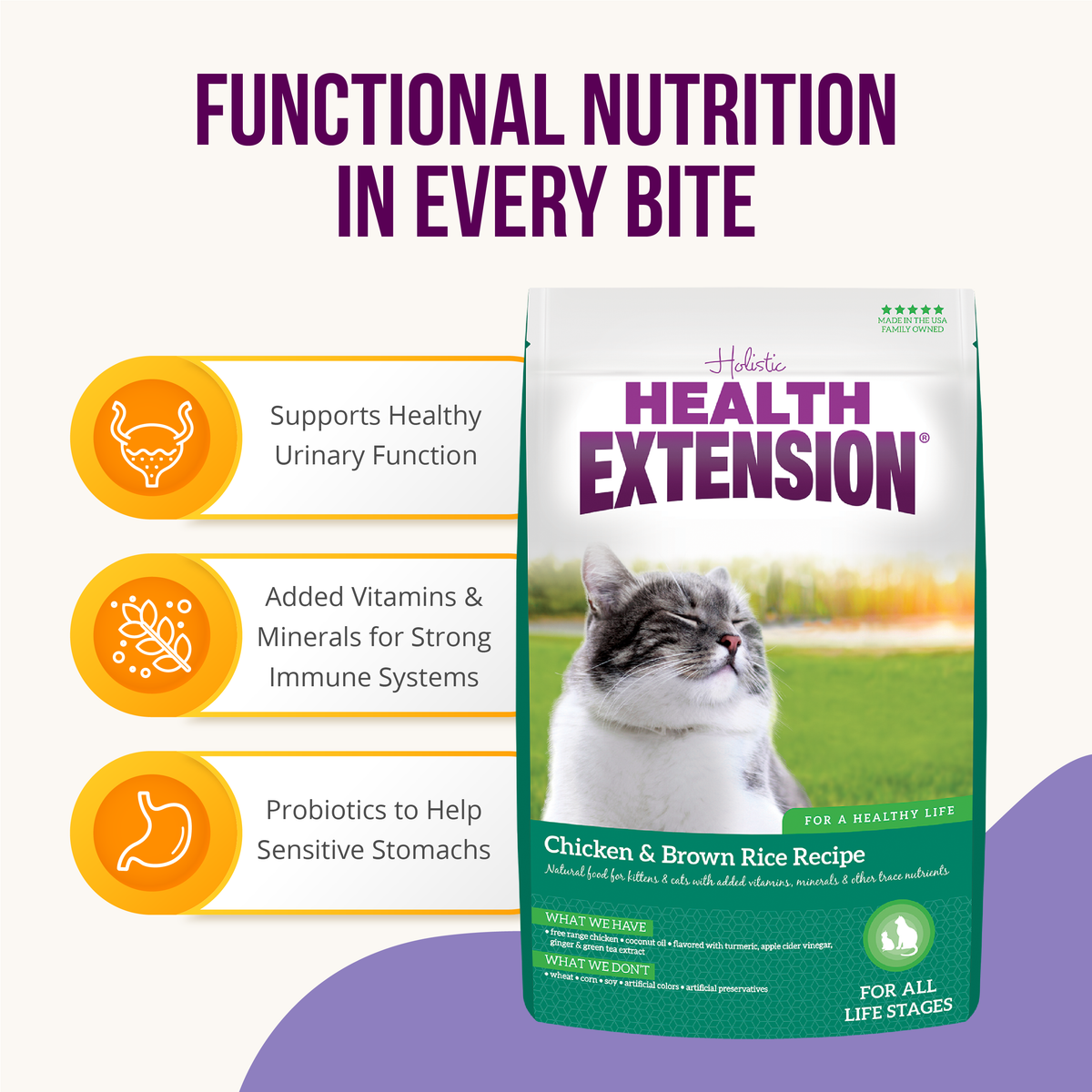 Product information graphic for Health Extension Chicken & Brown Rice Recipe