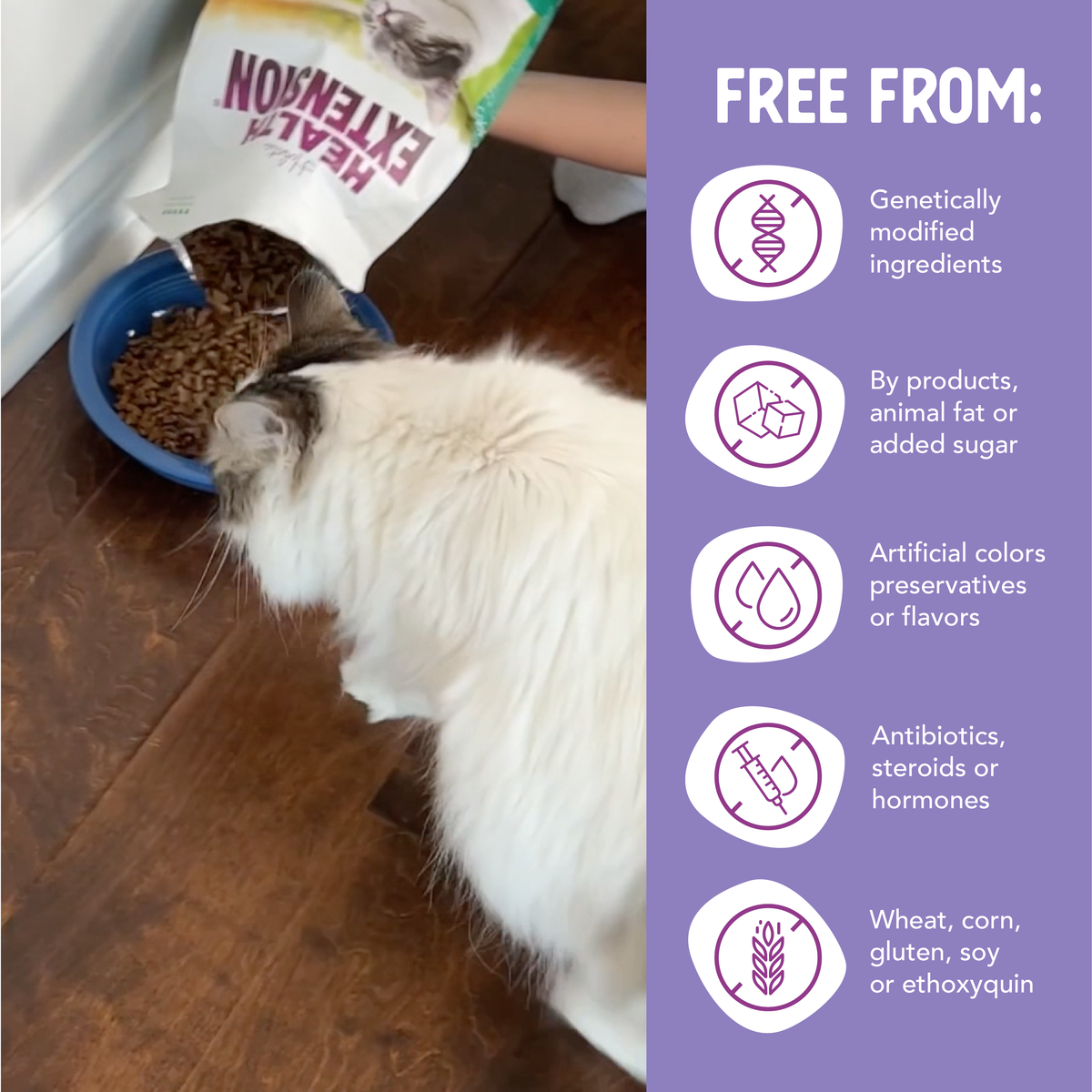Product information graphic for Health Extension Chicken & Brown Rice Recipe