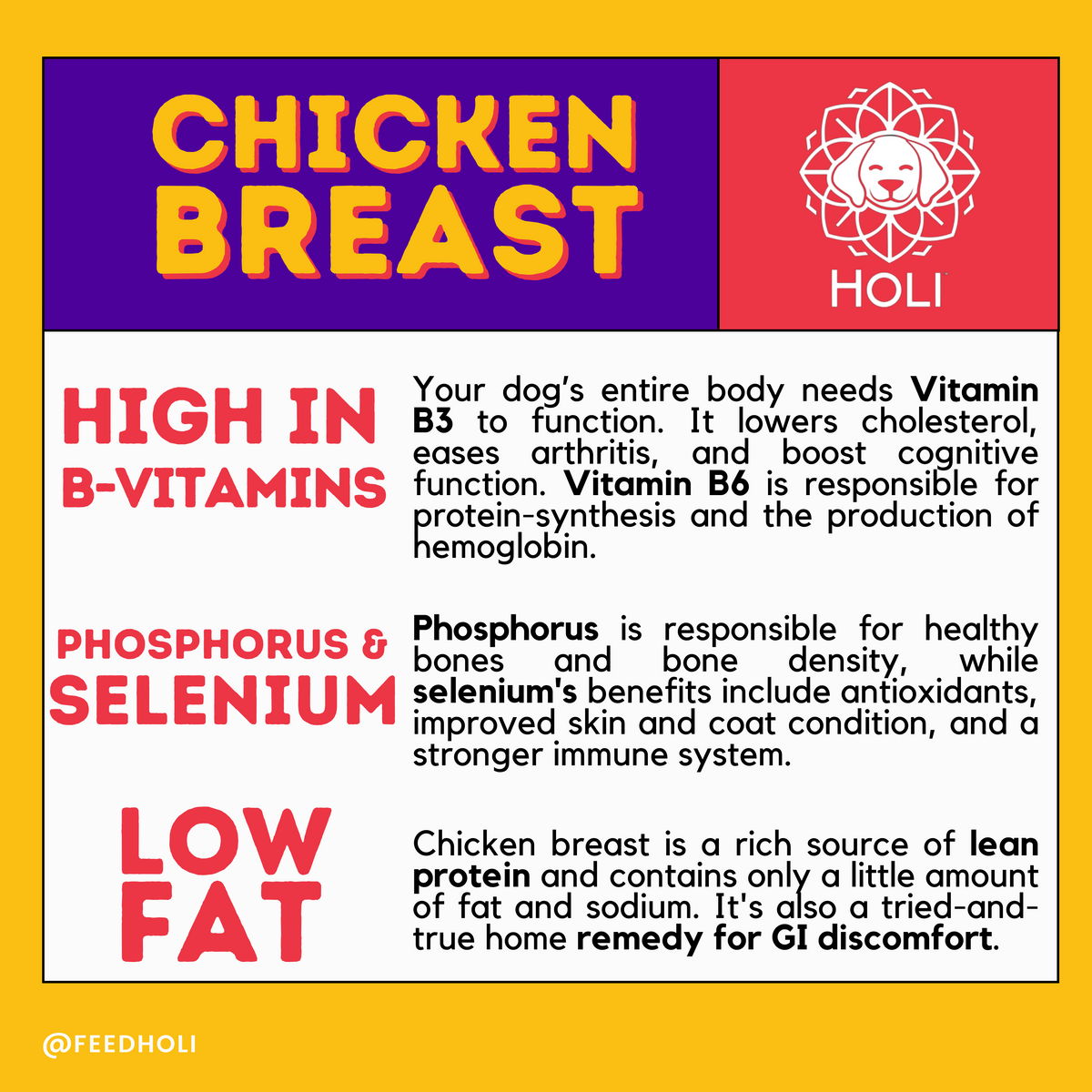 HOLI Freeze-Dried Chicken Breast Dog Treats product information graphic