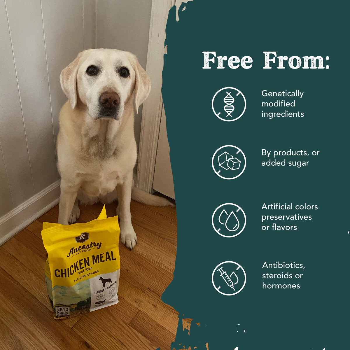 Product information graphic for Health Extension Chicken Meal with Rice