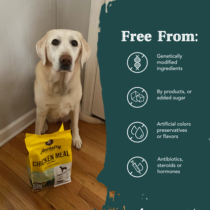 Product information graphic for Health Extension Chicken Meal with Rice