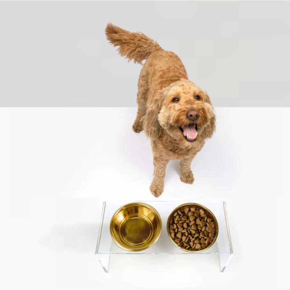 Hiddin Medium Gold Feeder bowl and stand detail