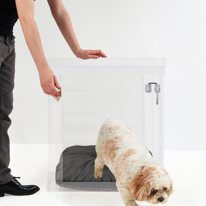 Medium clear pet crate charcoal cushion product view