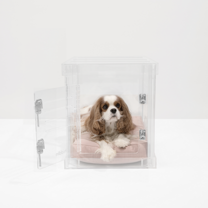Small Hiddin clear crate with blush cushion