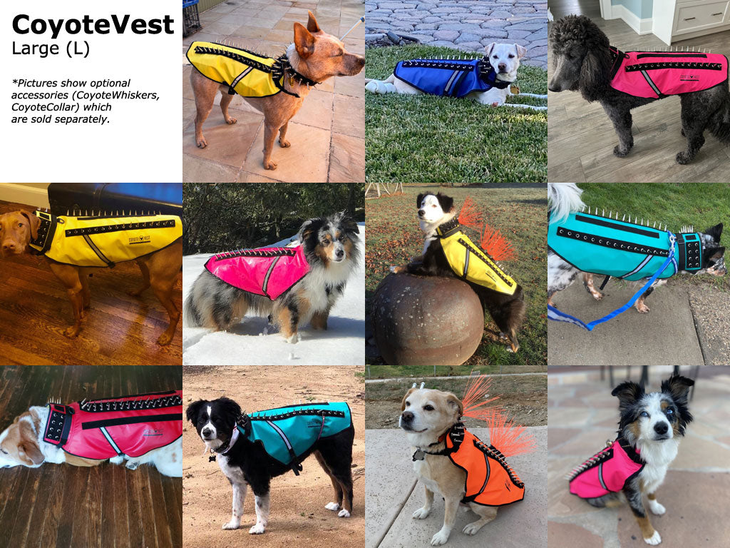 CoyoteVest Protective Dog Vest Large fit examples