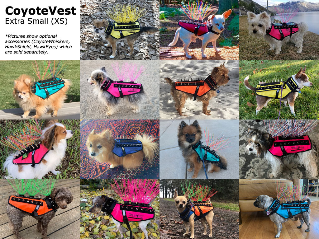 CoyoteVest Protective Dog Vest X-Small fit examples