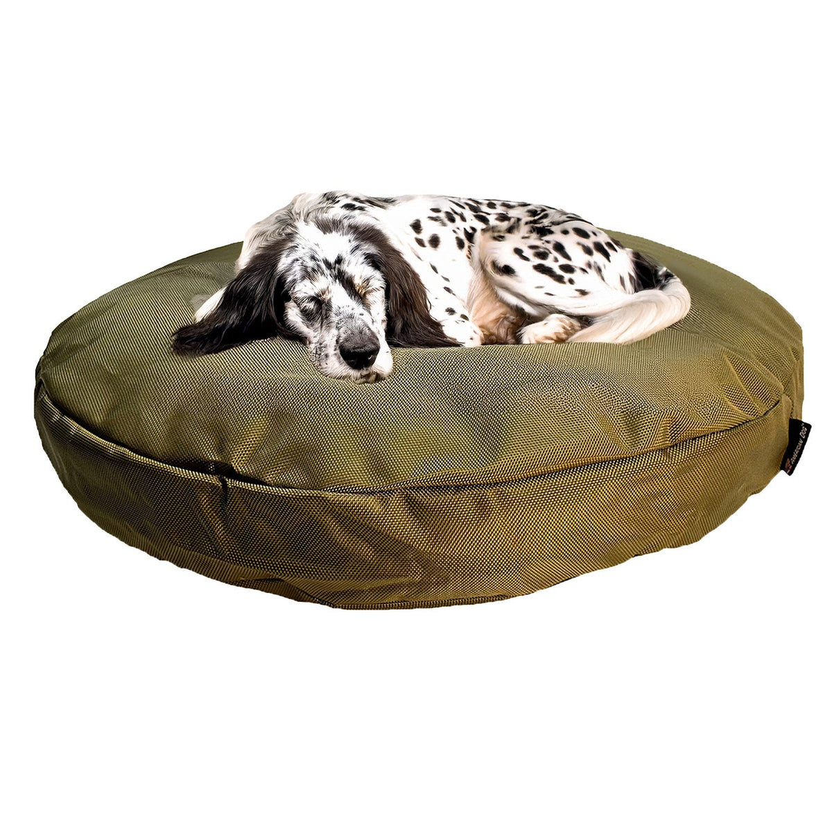 Dog resting on an olive Round Armor Dog Bed
