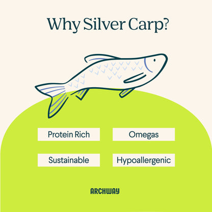 Sustainable Silver Carp Fish Maws