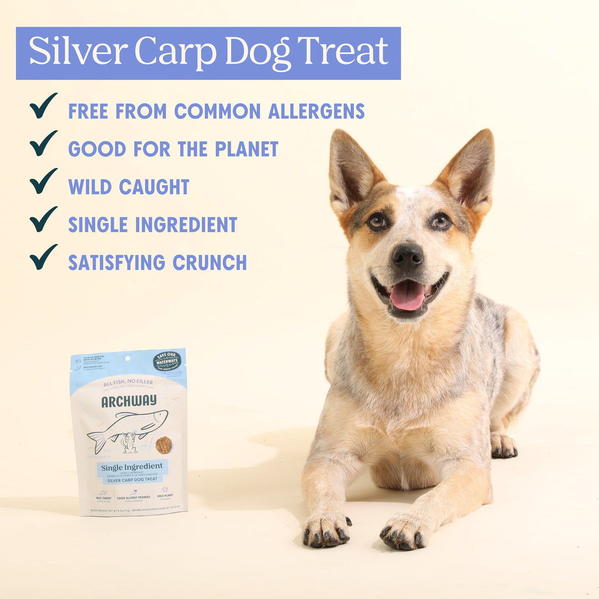 Silver Carp Fish Chips for Dogs