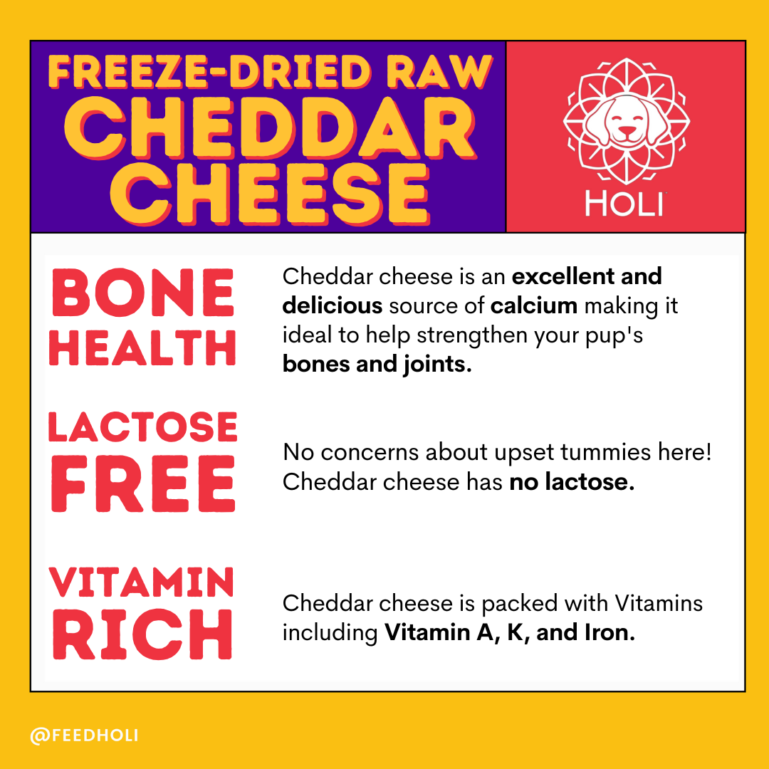 Freeze-Dried Cheddar Cheese Dog Treats product information graphic