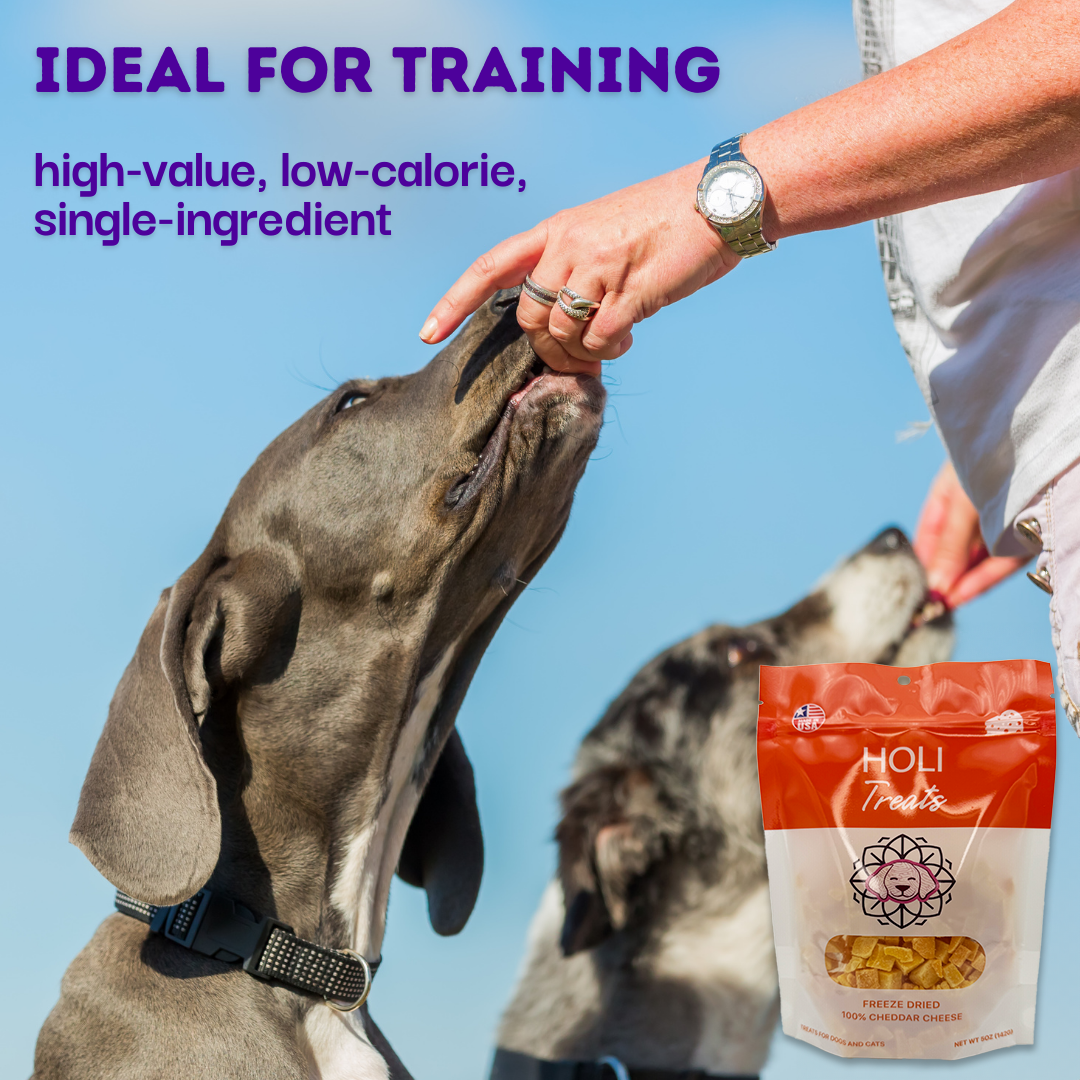 Freeze-Dried Cheddar Cheese Dog Treats product detail 3