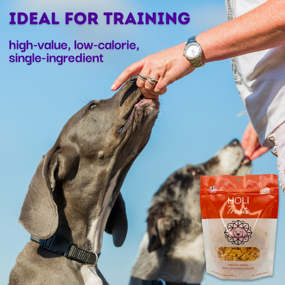 Freeze-Dried Cheddar Cheese Dog Treats product detail 3