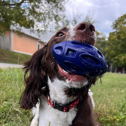 Alpha Pak Chewie Squeak Rubber Football - lifestyle view