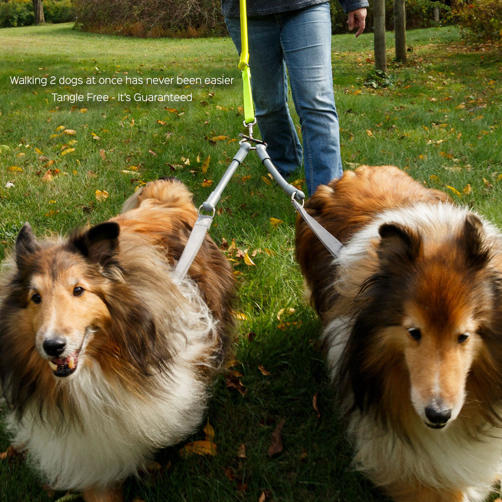 CRAZYcoupl'r - Two-Dog Leash Coupler