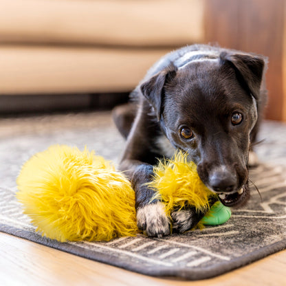 Lifestyle view of Astrid Rowdies plush dog toy in use in citrus