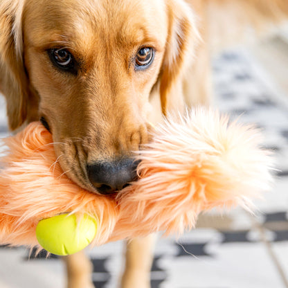 Vista adicional de el juguete de peluche Rowdies Olaf para perros en color Cítrico