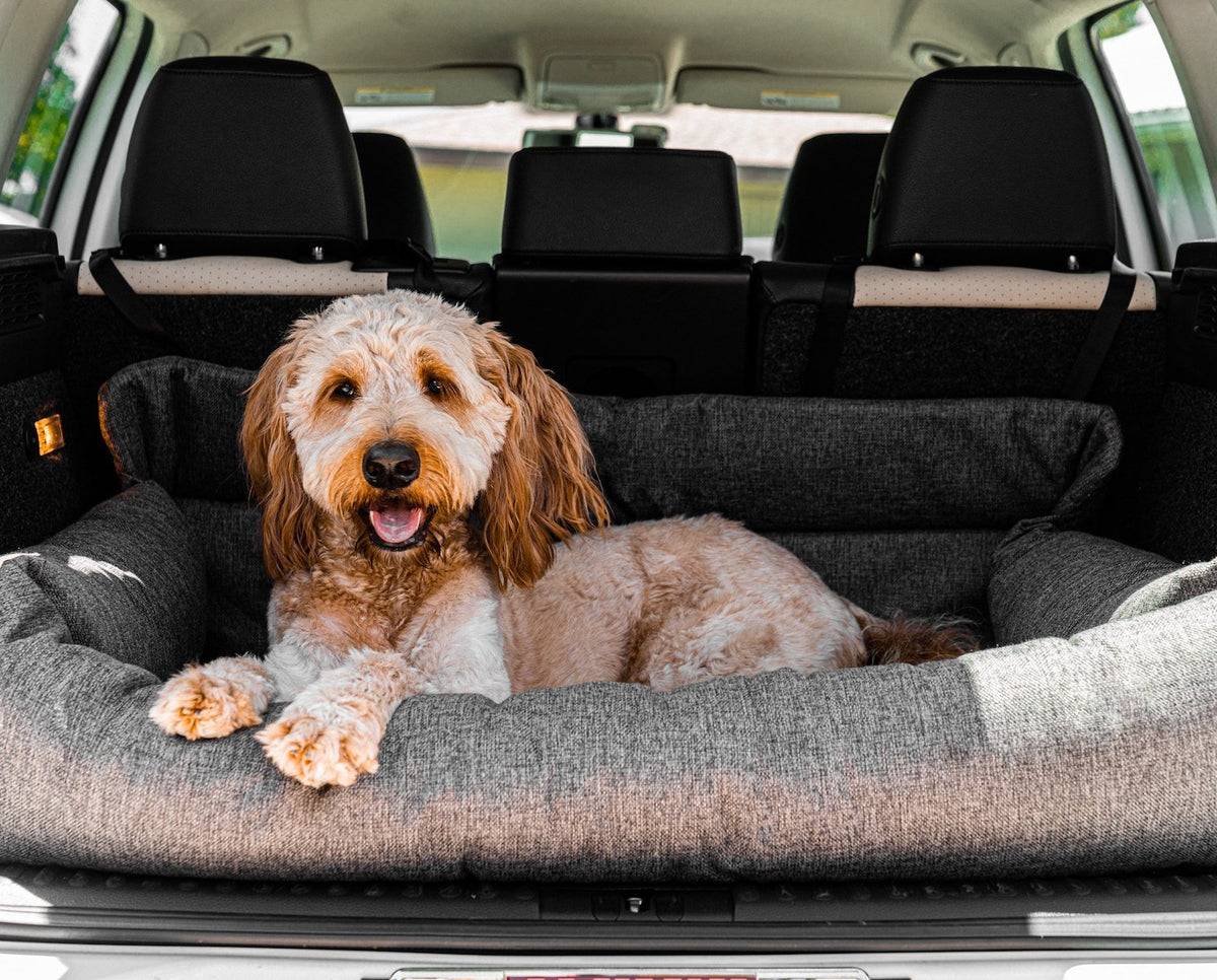 Dog in the performance tweed bed in a vehicle cargo area