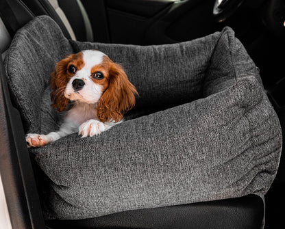 Dog riding in the performance tweed dog car bed