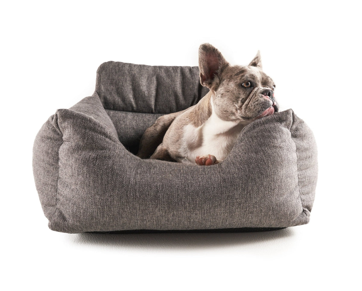 Small dog sitting in the performance tweed car bed