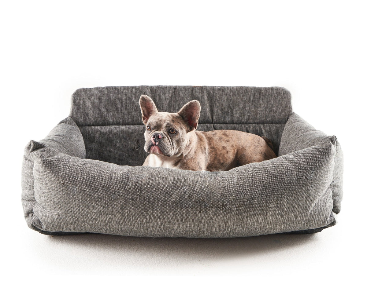 Small dog in the performance tweed car bed on white