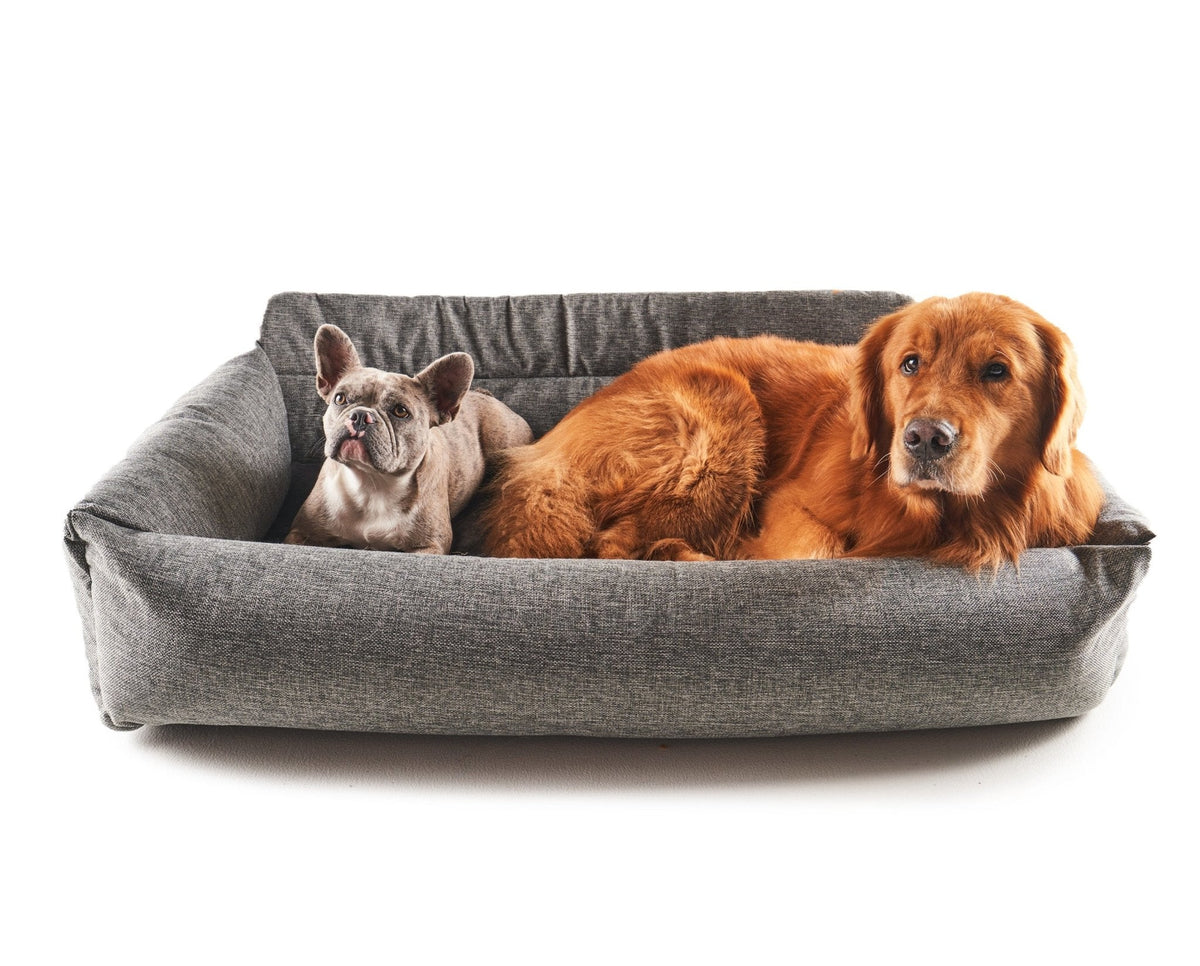 Two pets resting in the performance tweed car bed