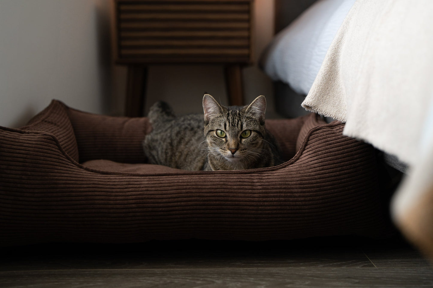 Fancy Corduroy Sleeper Dog Bed - Brown