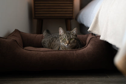 Fancy Corduroy Sleeper Dog Bed - Brown