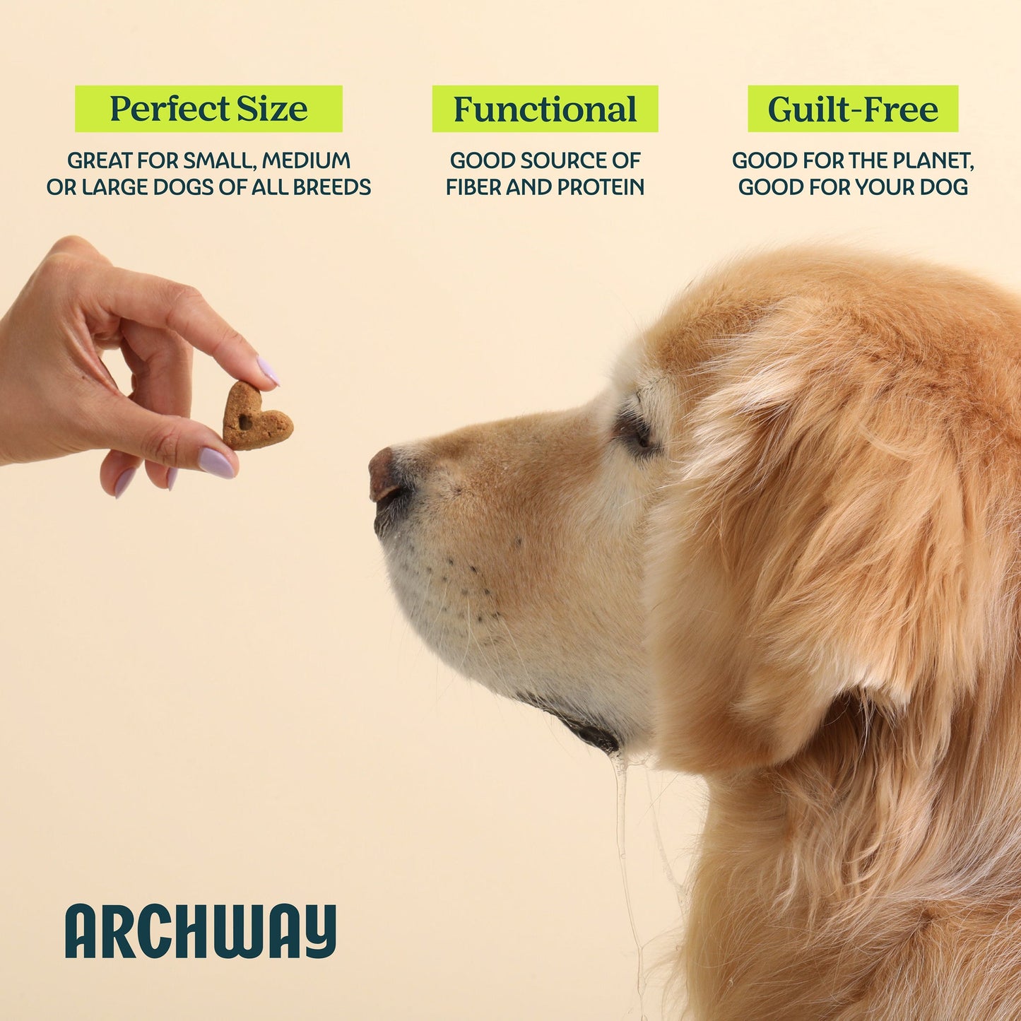 Archway Digestive Health product information