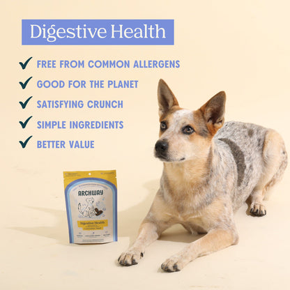 Archway Digestive Health product information