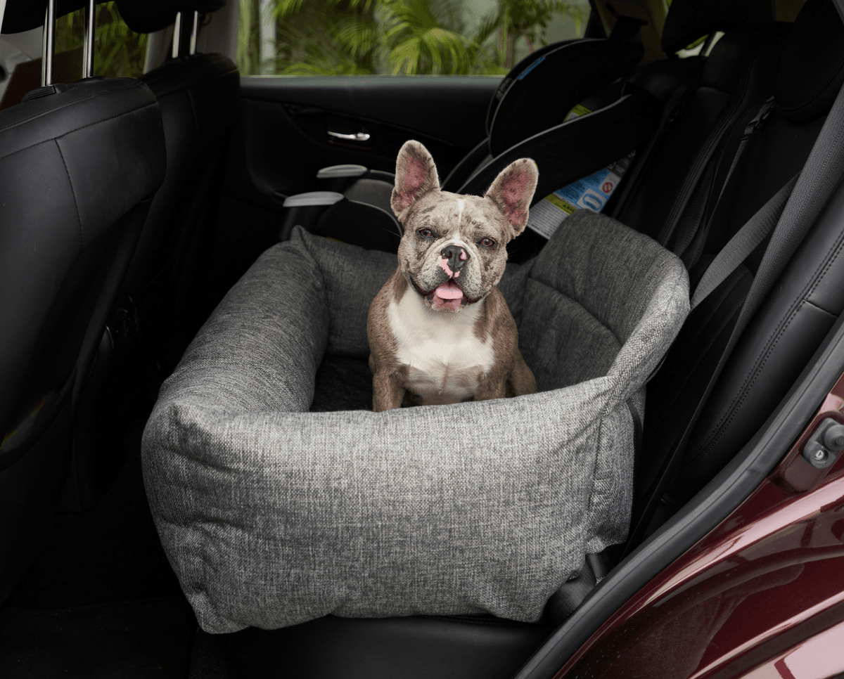 Small dog riding in the performance tweed car bed