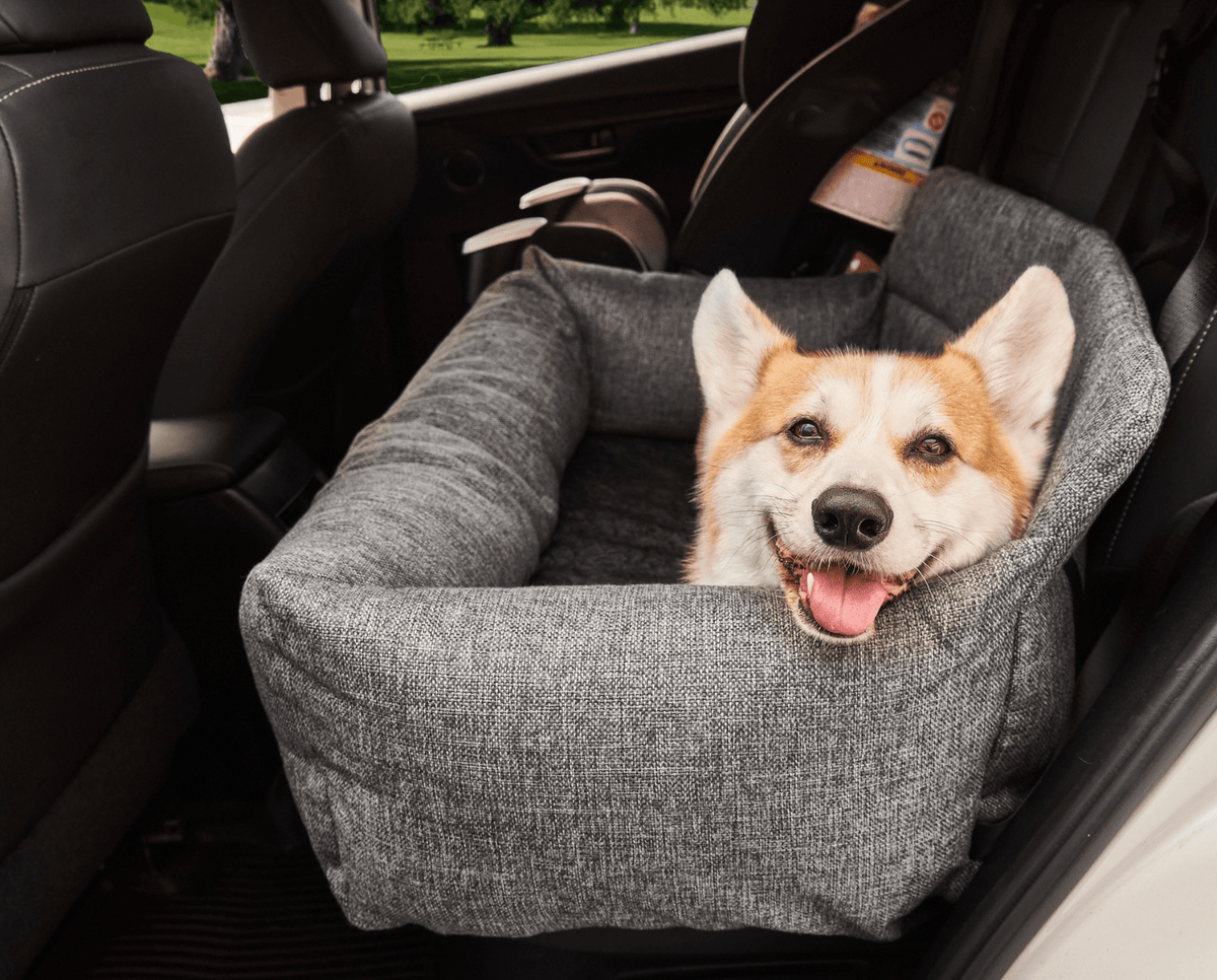 Dog sitting in the performance tweed car bed