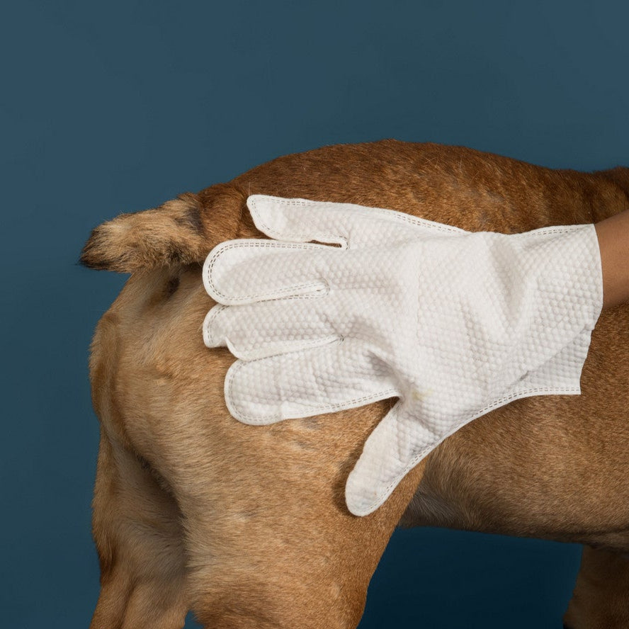 "Guante y ¡listo!" - Toallitas para acicalar a perros y gatos