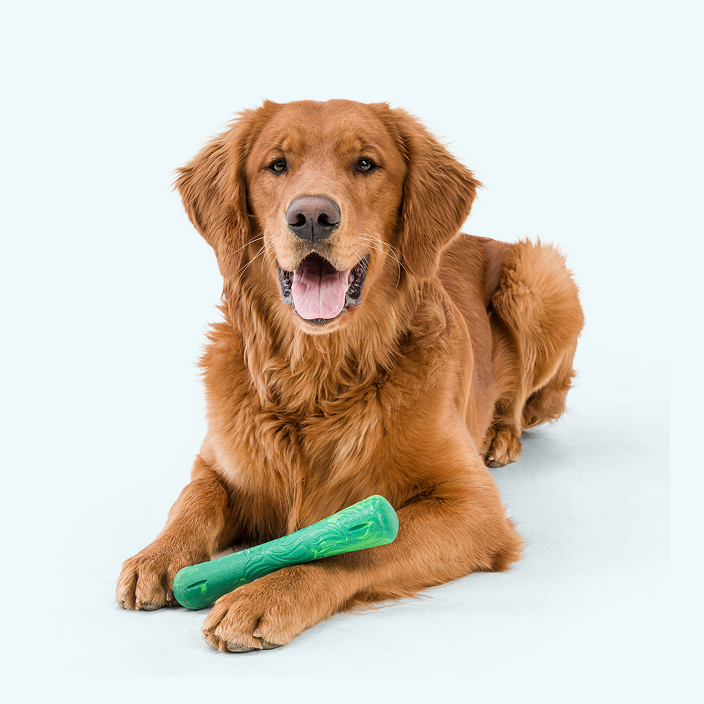 Additional view of the West Paw Drifty dog toy