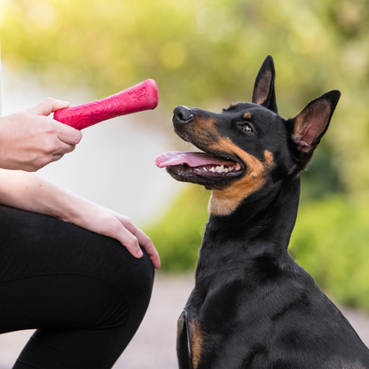 Additional view of the West Paw Drifty dog toy