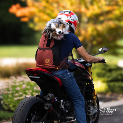 Dune Red K9 Sport Sack Knavigate dog carrier backpack in use