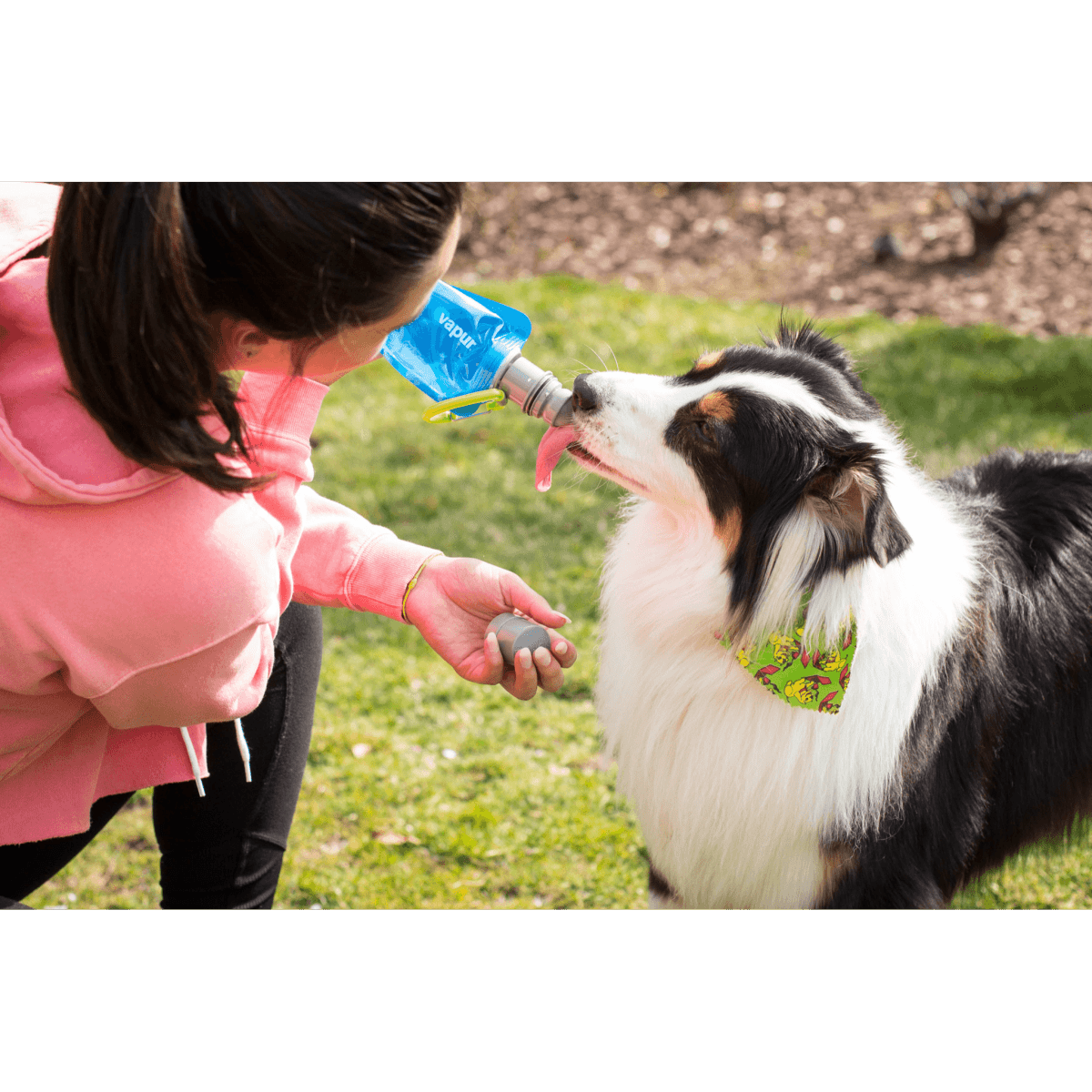 Vapur EZ Lick portable dog water bottle in use