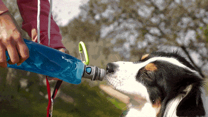 Vapur EZ Lick portable dog water bottle in use