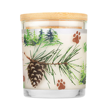 Vela Evergreen Forest