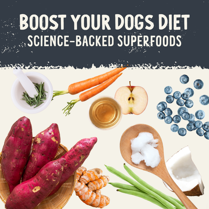Freeze-Dried Raw Chicken Recipe