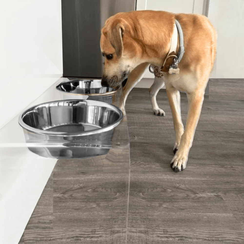 Tall Clear Double Feeder with Silver Bowls