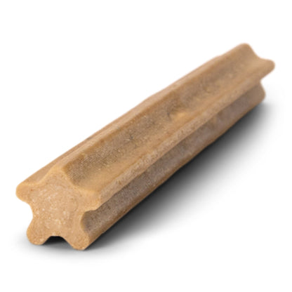 Close-up of one small tan dental stick with longitudinal ridges.