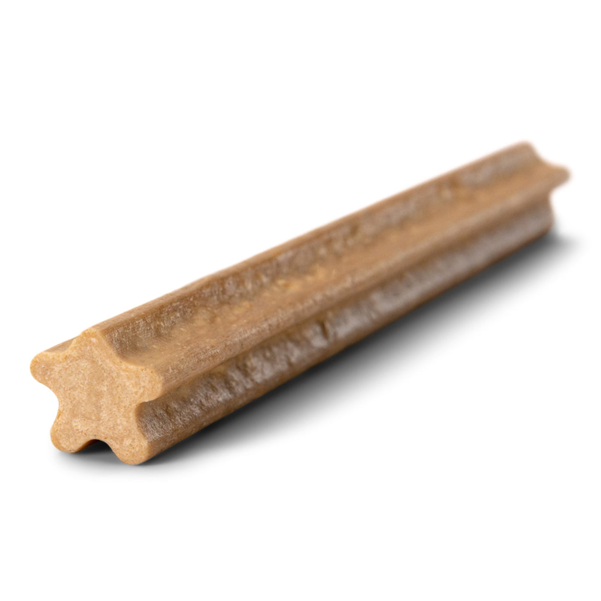 Close-up of one large tan dental stick with longitudinal ridges.
