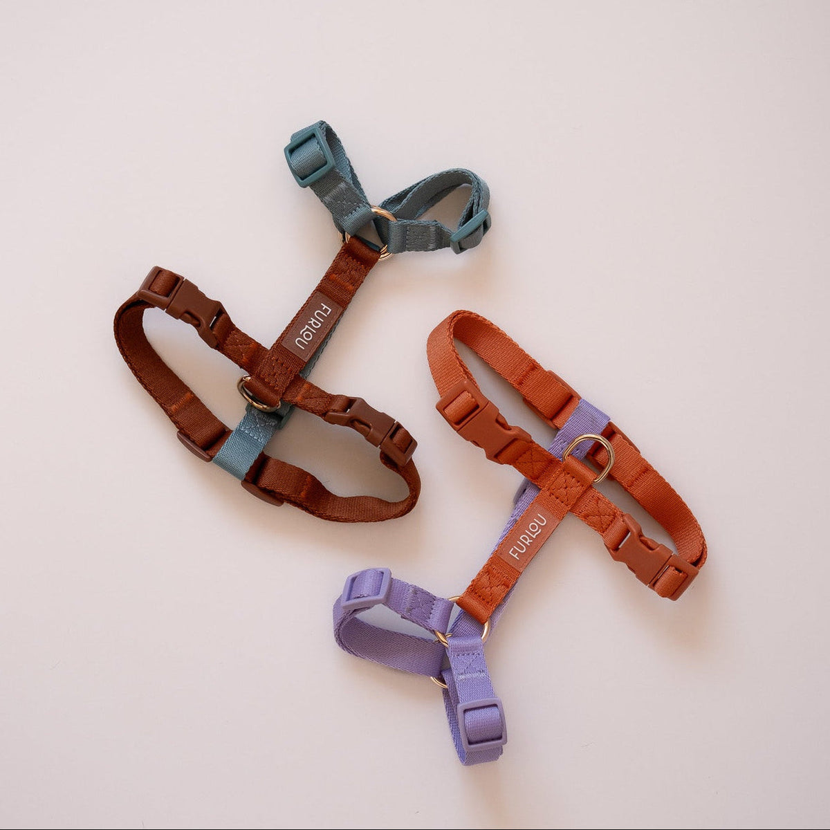 Dog wearing the FURLOU Dog Harness - Blue & Clay