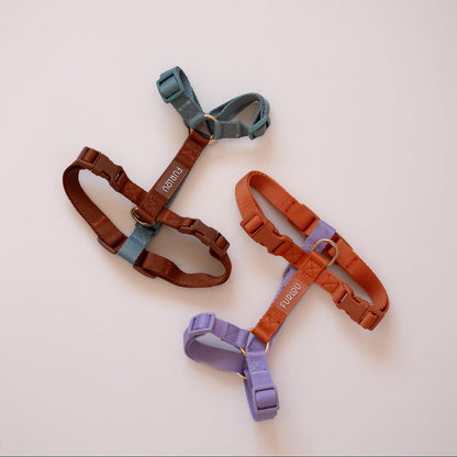 Dog wearing the FURLOU Dog Harness - Blue & Clay