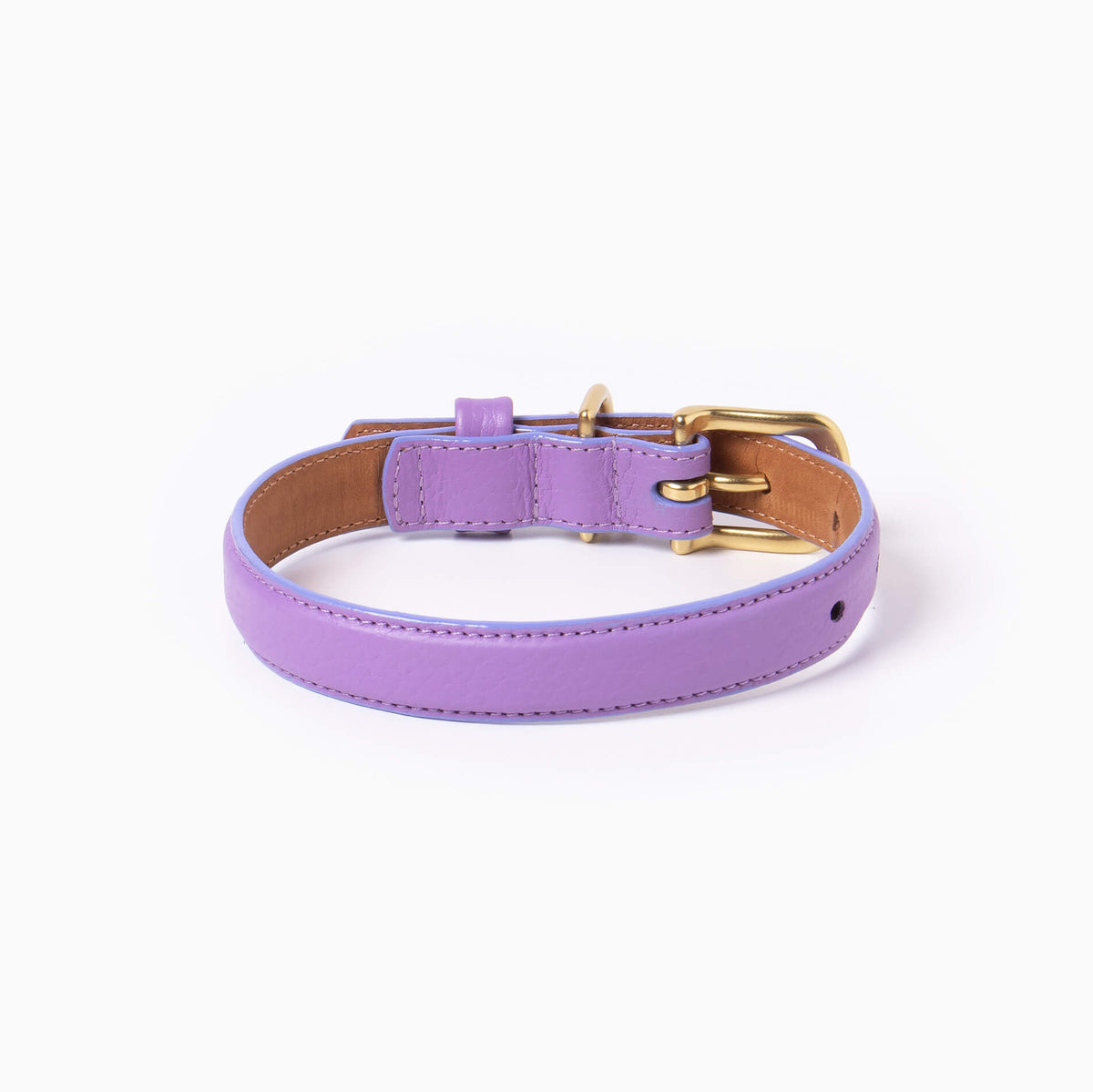 Fairy Collar back view