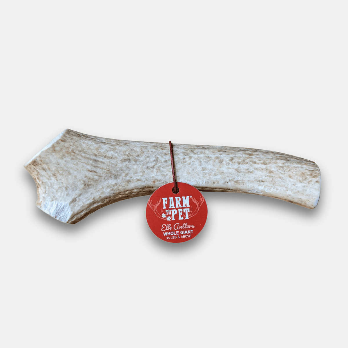 Front product view of Farm To Pet whole giant elk antler dog chew