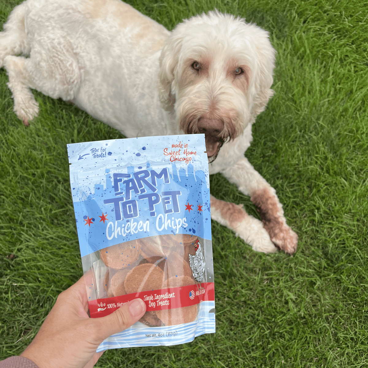 Dog outdoors with Farm To Pet Chicago Chicken Chips