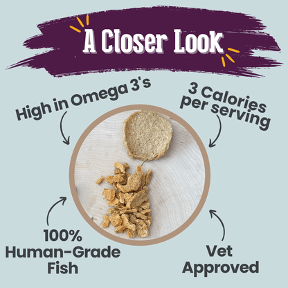 Product packaging with text highlighting features like omega-3s, calories, human-grade fish, and vet approval on a light blue background.