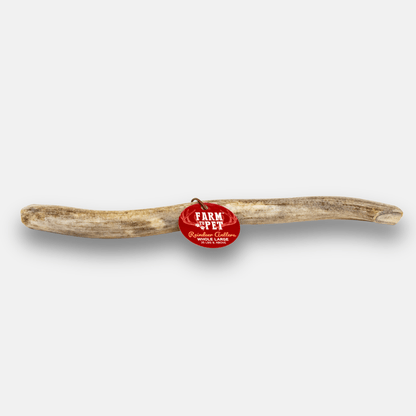 Front product view of Farm To Pet whole large reindeer antler dog chew